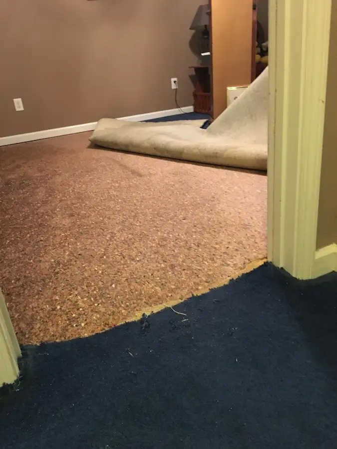 Carpet pad removal revealing water damage during Water Mitigation Services in Miami Beach