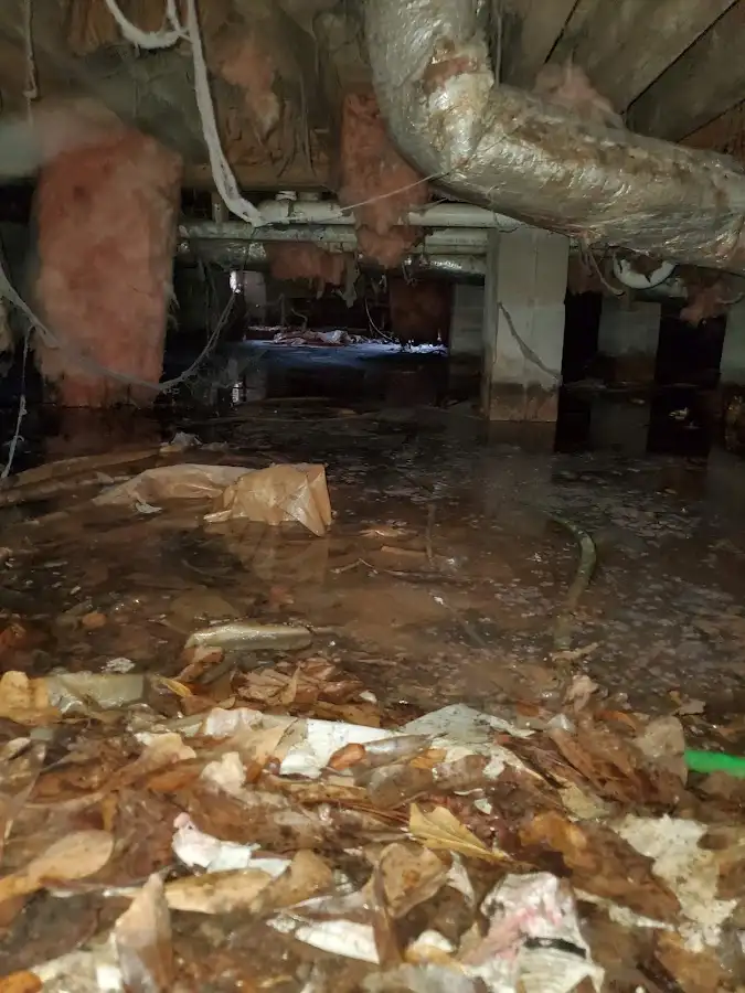 Crawl space flood assessment for Leak Detection & Repair in Miami Beach